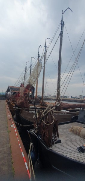 IMG-20240517-WA0002
